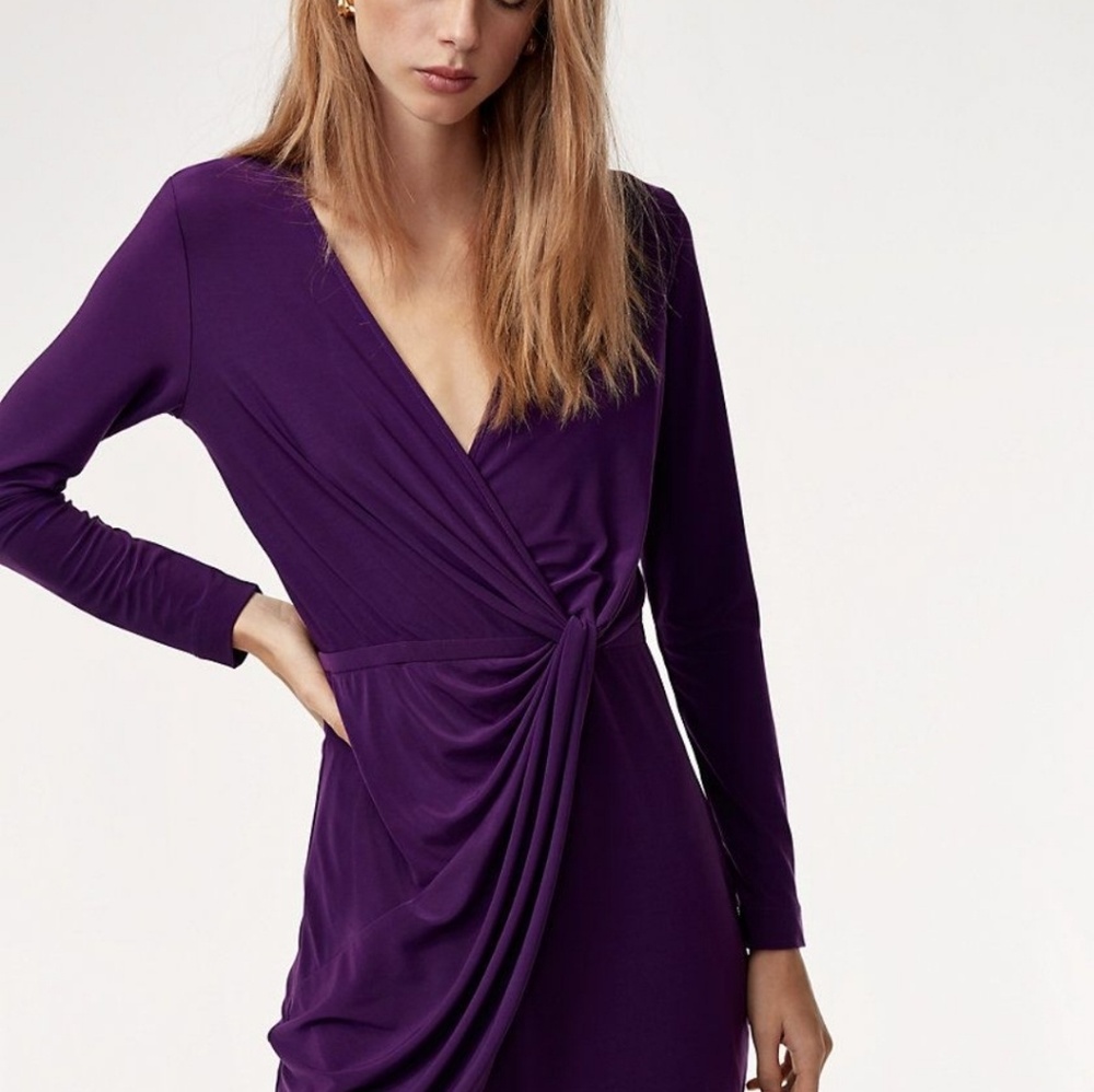 Aritzia Babaton Jeff Dress